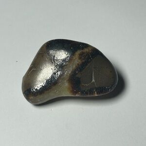 Polished Septarian Dragonstone